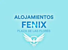 Alojamientos Fenix
