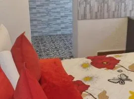 Neo & Ruks Guest Houses Boston Belleville 6