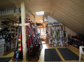 Blizzard, hotel in Slavske