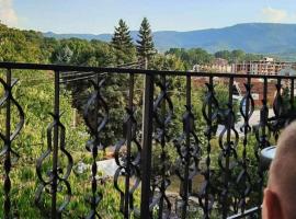 Apartmani Vila Dragana Vrnjačka Banja, hotel in Vrnjci