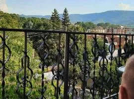 Apartmani Vila Dragana Vrnjačka Banja