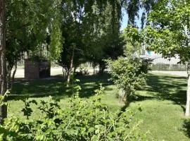 Cabañas EL BOSQUE