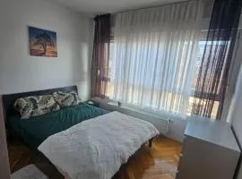 Cozy Room Near The Center