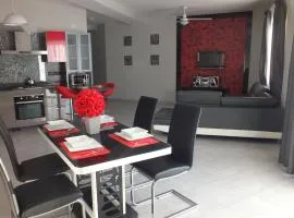 Penthouse next to the beach