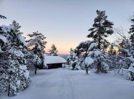 Cozy Private Holiday Home On Lifjell, hotel in Bø