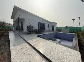 Dhaulidhar Farms