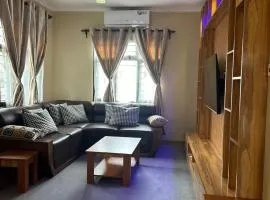 Modern Standalone house