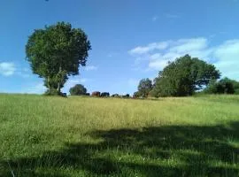 Tiny House Les Trognes