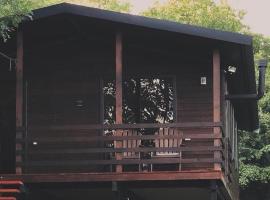 Walnut house, hotel en Manglisi