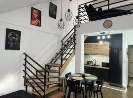 Central Duplex Apartment