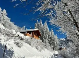 Chalet Chalet Les Pars by Interhome