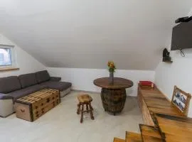 Apartma VIKTOR