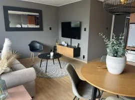 Vakantieappartement Zeebries, dichtbij strand van Dishoek