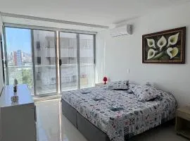 Amplio y hermoso apartamento para disfrutar