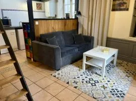 Appartement Le Cadet Roussel Auxerre Les Quais