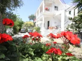 Angeliki Studio & Apartment
