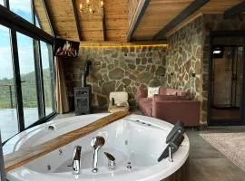 ARTE SUİT Bungalov