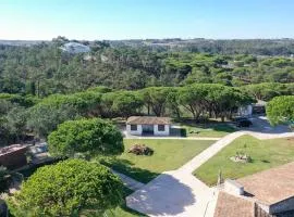 Alojamento Monte da Laje