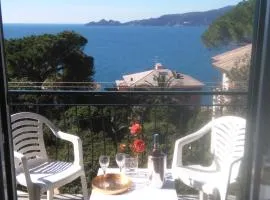 AL MARE DAVANTI A PORTOFINO - BY THE SEA IN FRONT of PORTOFINO