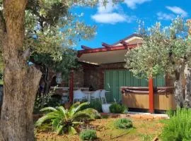 Vila s jacuzzijem i bazenom Mavrinac