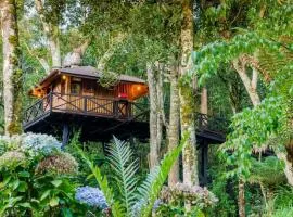 Casa na Árvore Monte Verde