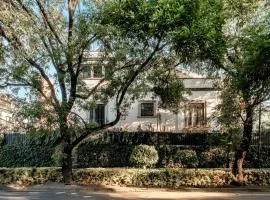 Pug Seal Polanco Anatole France