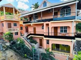 Hibiscus View Apartment Rental