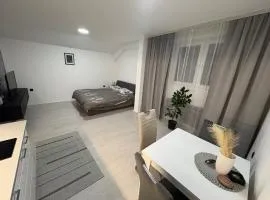 Fenix Apartman III