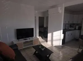 2 bd apartment near to downtown