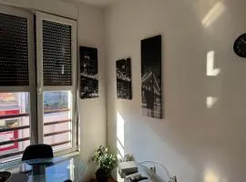 Apartman u Pašićevoj