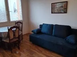 Apartment Most-Borovského
