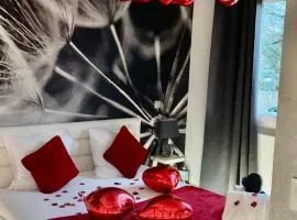 "Glamappartspa" luxe étoilé & Netflix & Park