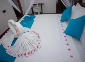 Olive Villa