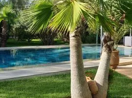 Riad les deux citronniers