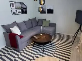 4 bed apartment close to Branäs resort