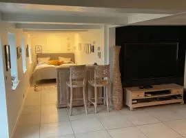 Large cozy living room with bedroom, bathroom