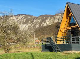 Sălciuella Dream Cabin, chỗ nghỉ có onsen ở Sălciua de Jos