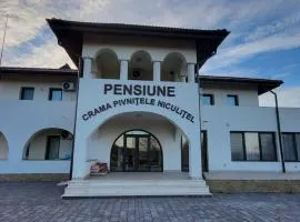Pensiunea Crama Pivnițele Niculițel