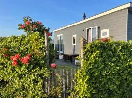 Bonboniera70 Renesse