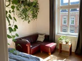 Sonniges Zimmer Sternschanze