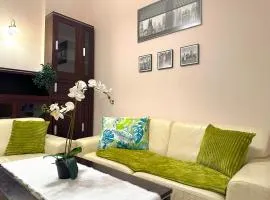 Heart of the City Cozy Corner with AC & Parking Included