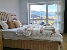 Tutu Studio Sinaia cu vedere panoramica Early Checkin