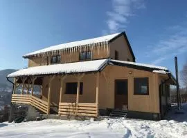 Cabana Elveția