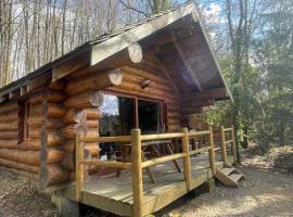 Chalet avec vue sur le lac, ξενοδοχείο σε Angoisse