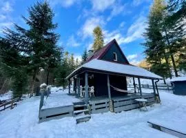 Piwniczna 187 - Vintage House