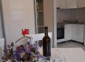 Apartmani LaVa igalo 1