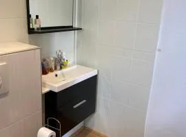 Nancy, Magnifique studio totalement climatisé, meublé, salle de bains et wc séparés, parking privé, cuisine équipée, WIFI