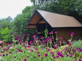 Cabana do Mato Waldhütte