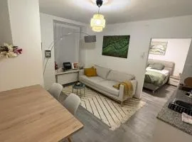 Top Apartment in Center of Zurich