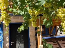 לומינוס האגוז